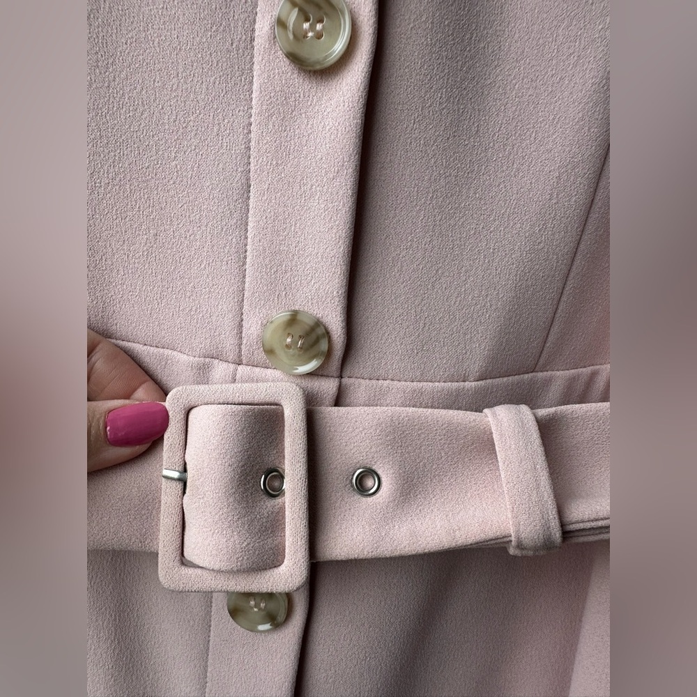 Express Belted Button Front Pink Sheath Dress - Picture 7 of 9